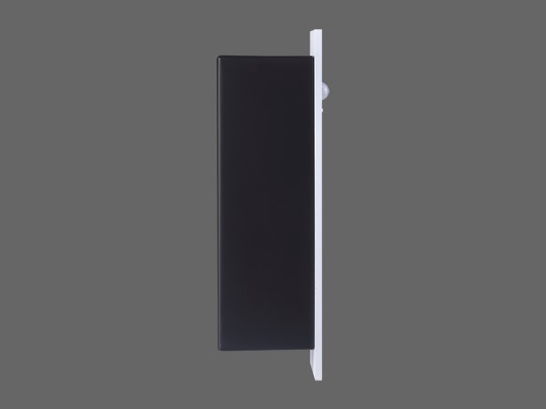 Induction type